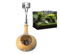 Jumping Spider Home Jumping Spider House Jumping Spider with Magnetism, House Jumping Spider Natural Fence Made with Natural Pumpkins for the