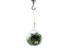 Jumping Spider House Magnetic Hideaway Habitat Resting Hammock