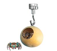 Jumping Spider House, Natural Gourd 1.57-1.97 in Diameter Ĵumping đer Enclosure | ņg Spideŕ Enclosurе with Magnetic Mount, Natural Material, Movable Habitat, Jûmping Spideŕ Cave