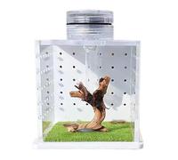 Jumping Spider House, Transparent Frog Tank Cage, Feeding Breeding Box with Light Humidifier, Clear Lizard Cage, Reptile Enclosure Tank for Small Tree Dwelling Reptiles, Amphibians, Spiders