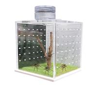 Jumping Spider House, Transparent Frog Tank Cage, Feeding Breeding Box with Light Humidifier, Clear Lizard Cage, Reptile Enclosure Tank for Small Tree Dwelling Reptiles, Amphibians, Spiders