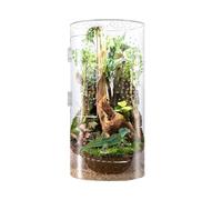 Jumping Spider Housing, Spider Enclosure, Acrylic Praying Mantle Terrarium - Waterproof Opening Door Small Reptile Cage Habitat for Tarantula Snail