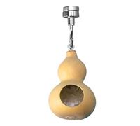 Jumping Spider Nest, Jumping Spider Decor, Natural Gourd Jumping Spider Case with Magnetism, Jumping Spider Speaker with Natural Squash, for Cute Decoration)