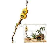 Jumping Spider - Reptile Tank Magnetic Decoration, Interactive Cave Ornament, Jumping Spider Hiding Place | Engaging Habitat Setup for Playing Climbing Foraging Resting Terrarium Aquarium Enclosure