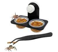 Jumping Spider Tarantula Water Feeding Dish Kit (Feeding Ledge)