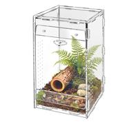 Jumping Spider Terrarium | Acrylic Reptile Cage | Tarantula Enclosure - for Scorpion, Gecko, Mantis, Mantis, Spider, Tarantula, Living Room, Office, Home, Travel