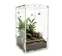 Jumping Spider Terrarium Acrylic Tarantula Habitat