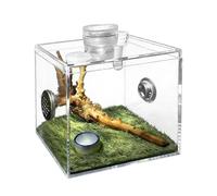 Jumping Spider Terrarium | Clear Acrylic Pet Breeding Box | Reptile Breeding Box | for Living Room, Religious Mantha, Small Wildlife
