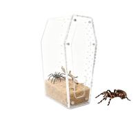Jumping Spider Terrarium,Clear Acrylic Spider Habitat,Praying Mantis Enclosure | for Teachers Educators Hobbyists Students Collector Home Classroom Photo Studio Office Snails Mantis