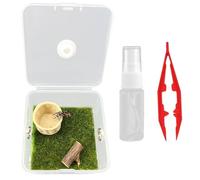 Jumping Spider Terrarium Jumping Spider Enclosure Transparent Reptile Terrarium Acrylic Enclosure for Small Hermit Crab Critters Snail Bugs Insects Style 4