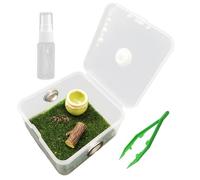 Jumping Spider Terrarium Jumping Spider Enclosure Transparent Reptile Terrarium Acrylic Enclosure for Small Hermit Crab Critters Snail Bugs Insects Style 1