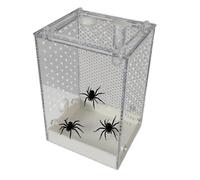 Jumping Spider Terrarium - Transparent Breeding Box for Religious Mantis - Ventilated Container for Spiders, Scorpions, Cockroaches, Crickets, Ants & Mantis for Home, Zoo, Classroom &