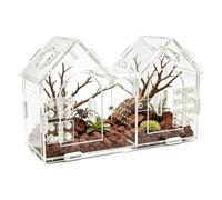 Jumping Spider Terrarium Transparent Tank for Reptile