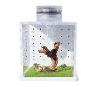 Jumping Spider Terrarium - Vertical Acrylic Habitat Safe Spider Climbing Branch Decoration, Aerated Mesh Lid, Easy Access Door, Ideal for Tree Tarantulas, Home