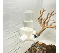 Jumping Spider Water Dispenser, Magnetic Hanging Feeder,Suitable for Jumping Spiders,Tarantulas, Praying Mantises,Arboreal Animals, and Other Small Animal Enclosure Accessories (White, 10ML)