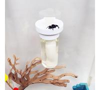 Jumping Spider Water Dispenser, Magnetic Hanging Feeder,Suitable for Jumping Spiders,Tarantulas, Praying Mantises,Arboreal Animals, and Other Small Animal Enclosure Accessories (White, 10ML)