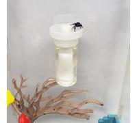 Jumping Spider Water Dispenser, Magnetic Hanging Feeder,Suitable for Jumping Spiders,Tarantulas, Praying Mantises,Arboreal Animals, and Other Small Animal Enclosure Accessories (Transparent, 10ML)
