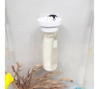 Jumping Spider Water Dispenser, Magnetic Hanging Feeder,Suitable for Jumping Spiders,Tarantulas, Praying Mantises,Arboreal Animals, and Other Small Animal Enclosure Accessories (White, 15ML)
