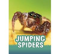 Jumping Spiders (Animals)