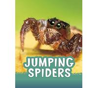 Jumping Spiders (Animals)
