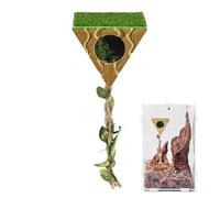Jumping Spiders Habitat Accessories - Magnetic Reptiles Terrarium Accessories - Jumping Spiders Habitat Cave | For Terrarium Aquarium Play Climbing Resting Foraging Enclosure Landscape Tarantula God