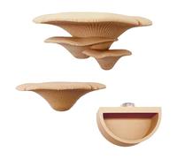 Jumping Spiders Mushroom Shelf, Natural Hiding Habitat, 3Ḍ Printing Materials, Jumping Spiders Accessories Mushroom Ledges, Magnetic Ledge Pet Spider Accessories, Built In Water Bowl, For Spider