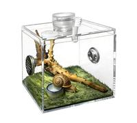 Jumping Spiders Terrarium - Acrylic Glass Breeding Habitat - Habitat for Jumping Spiders | for Snails, Catchers, Lizards, Small Animals, Praying Mantis as well as for Indoor Use at Home