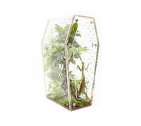 Jumping Spiders Terrarium, Clear Acrylic Spiders Habitat - Horn Frog Cage | For Nature Lovers Hobbyists Students Collectors Home Classroom School Project Office Snails