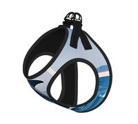 Jumping up Dolphins Print Soft Pet Harness and Leash Set, Adjustable Mesh Puppy Vest Harness for Small Small Large Dogs and Cats