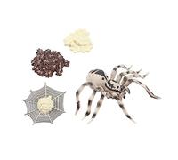 JUMPLAWN 1Set Animal Evolution Model Realistic Spider Ladybug Cycle Simulation for Educational Purposes for Party Decorations Inspiring Imagination