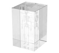 JUMPLAWN 3d Crystal Human Skeleton Anatomical Model Cube for Scientific Teaching Tool and Office Display, Versatile Decoration and Educational Display with Unique Elegant Design