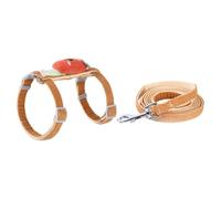 JUMPLAWN Adjustable Small Cat Leash and Harness Set Cartoon Orange Carrot Design, Escape-proof Kitten Outdoor Walking Rope for Pet Supplies