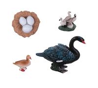 JUMPLAWN Animal Models Life Cycle Set for Boys and Girls Simulated Animals Educational Toys Includes Figures for Biology Teaching and Learning Activities
