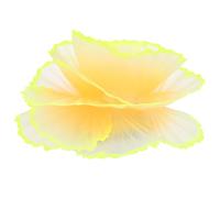 JUMPLAWN Fluorescence Coral Simulation Plant Artificial Coral Lifelike Resin Flat Bottom Aquarium Decor for Fish Tank Fish