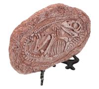JUMPLAWN Paleontology Dinosaur Specimen Ornament Real Fossil Decoration for Reptile Tanks Resin Material for Teaching and Collecting Unique Landscape Decor