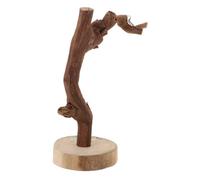 JUMPLAWN Parrot Wood Perch Stand with Base Natural Branch Bird Training Perch 20cm Desktop Bird Toy Suitable for Parakeets and Small Parrots Random Style