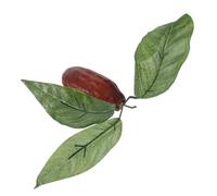 JUMPLAWN Realistic Cacao Pod Decor Artificial Fruit Model for Home Display