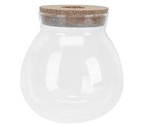 JUMPLAWN Transparent Fish Bowl Creative Hydroponic Plant Vase Glass Fish Tank for Home Decoration Multi Functional Micro Landscape Bottle