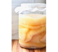 JUN TEA 5L (XL) Kombucha Scoby Certified Organic UKAS LAB Tested - For Green tea and Honey by Kombuchaorganic® Quality Assured Outstanding and Unique Quality Cultures