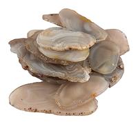 June&Ann Natural Color Agate Light Table Slices, Large Size,approx. 3-4inch Length,10 Pcs Irregular Polished Agate Slab Cards Healing Crystals Geode Stones for Home Decoration & Jewelry Making