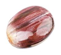 June&Ann Natural Petrified Wood Palm Stones, Healing Gemstone Therapy Worry Crystal Stones for Meditation Chakra Balancing Collection, Irregular Shape