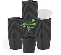 June Fox Square Nursery Pots 3.3 Inches Flexible Plastic Seedling Pots Square Pots for Plants, Succulent, Flower, Pack of 60, with 60 PCS Plant Labels