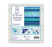 June Tailor JT-1415 Go Express Printed Quilt Blocks on Batting, Multi-Colour, 25.4 x 28.7 x 7.62 cm
