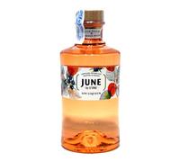 JUNE Wild Peach & Summer Fruits Gin Liqueur 70cl