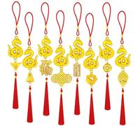 JUNEBRUSHS 16Pcs Chinese New Year Decorations 2025 Year of Snake Lucky Charm Feng Shui Tassel Hanging Pendants Ornaments for New Year Home Health Wealth Success Lucky Decor