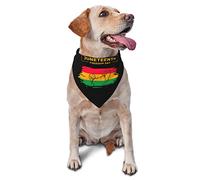 Juneteenth Freedom Day African American Spring Dog Bandanas Boy Bulk Puppy Kerchief Adjustable Soft Triangle Bibs Accessories for Small Medium Large Dogs Cats White