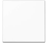 Jung A1700BFWW Steuertaste Standard, alpinweiß