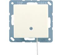 Jung A500 Installation Switch - A506BFNUZ