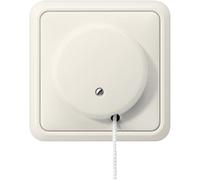 Jung ST550 Installation Switch - 5506ZU