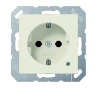 Jung Wall Outlet Box (WCD Switchgear) (European Socket) - A1520BFKO